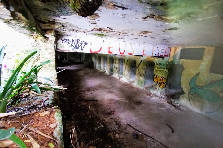 Ilha Grande 6 dages privat trekking ekspedition rundt om øen af lokale guider