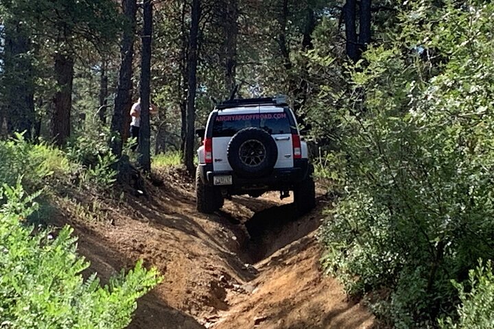 Tour privati di avventura fuoristrada nella foresta nazionale di Prescott
