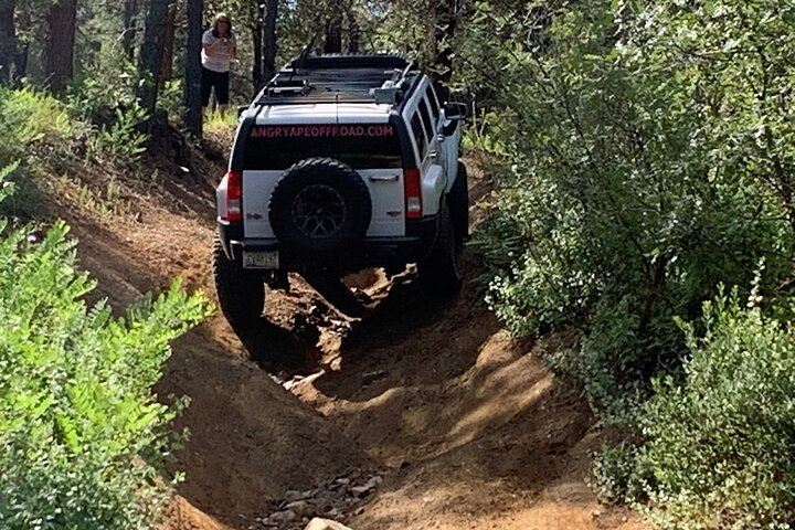 Tour privati di avventura fuoristrada nella foresta nazionale di Prescott