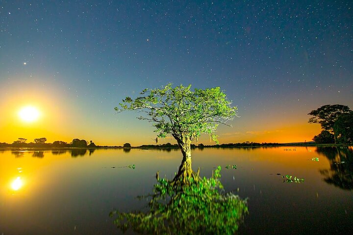 Tour 8 Días Jaguares y Pantanal Safari