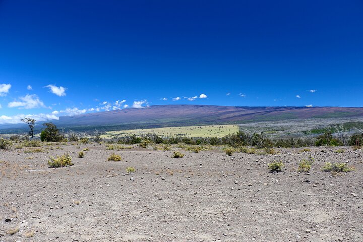 Parque Nacional de los Volcanes de Hawái e Hilo destacan tour en grupos pequeños