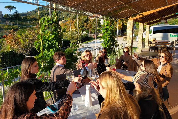 Privé wijntour door de magische heuvels van Lucca met een sommelier.