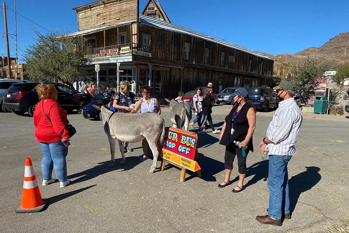 Oatman Mining Camp & Burros : Visite historique de la Route 66 au départ de Laughlin