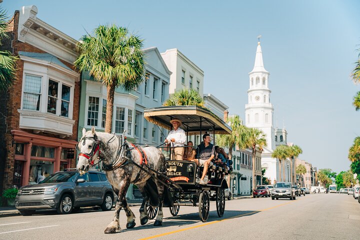 Charleston's Old South Carriage Historic Horse & Carriage Tour