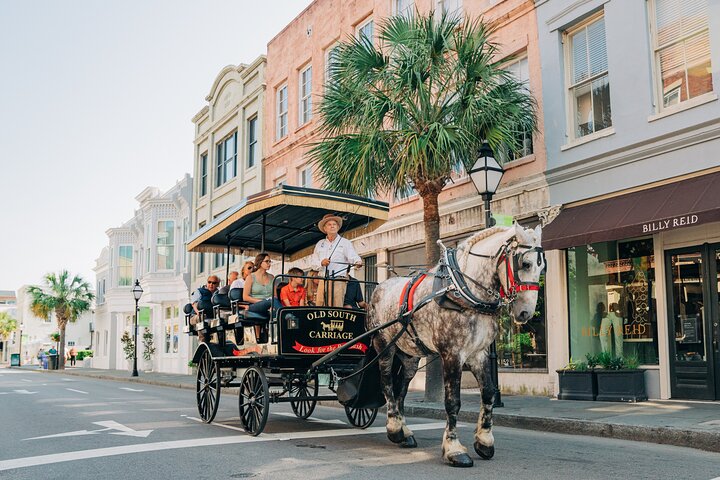 Charleston's Old South Carriage Historic Horse & Carriage Tour