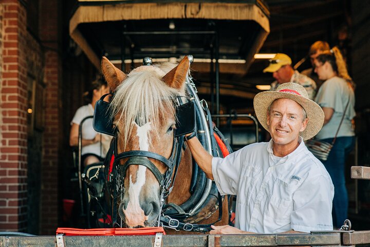 Charleston's Old South Carriage Historic Horse & Carriage Tour
