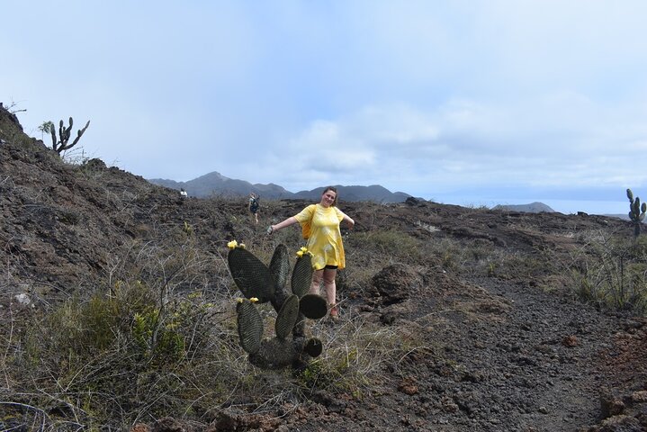 Caminhada ao Vulcão Sierra Negra