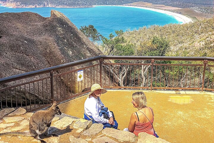 Tour di un'intera giornata a Wineglass Bay e Freycinet NP da Hobart via Richmond Village