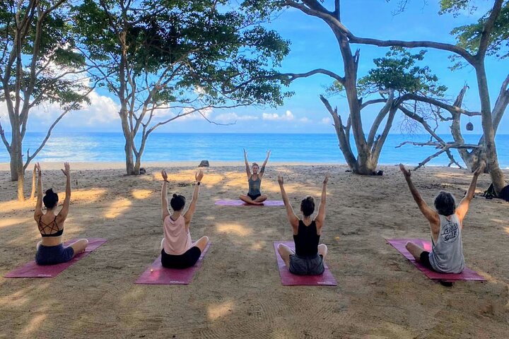 Experiencia de caminata y yoga en la jungla en México