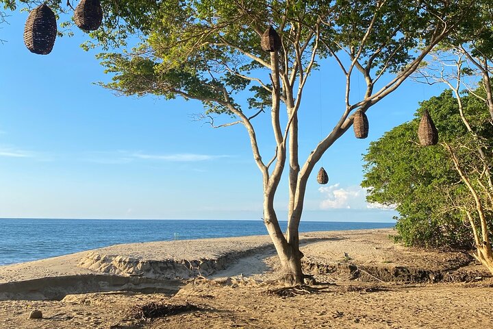 Experiencia de caminata y yoga en la jungla en México
