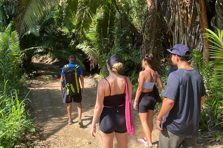 Experiencia de caminata y yoga en la jungla en México