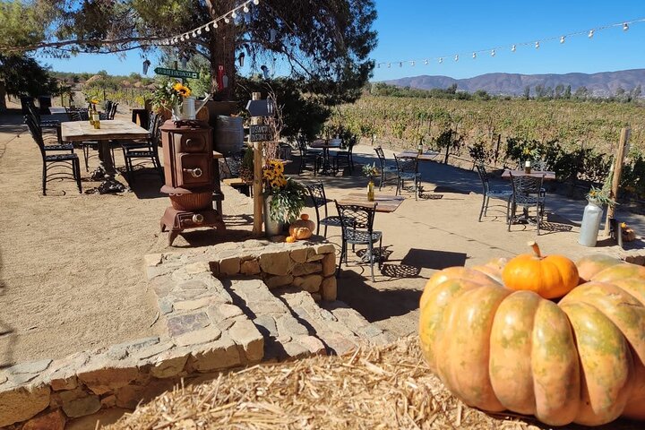 Visite gastronomique et œnologique premium de la vallée de Guadalupe