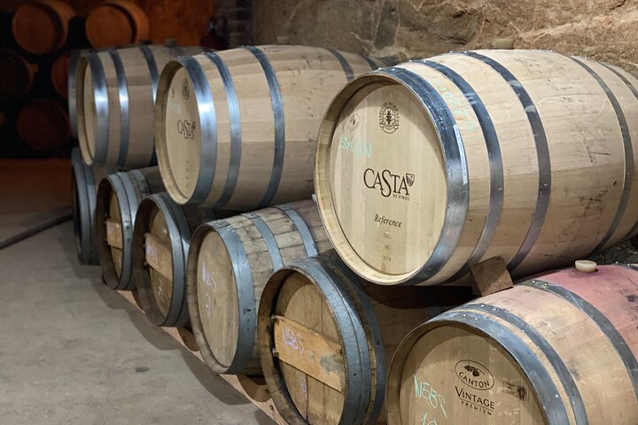 Visite gastronomique et œnologique premium de la vallée de Guadalupe
