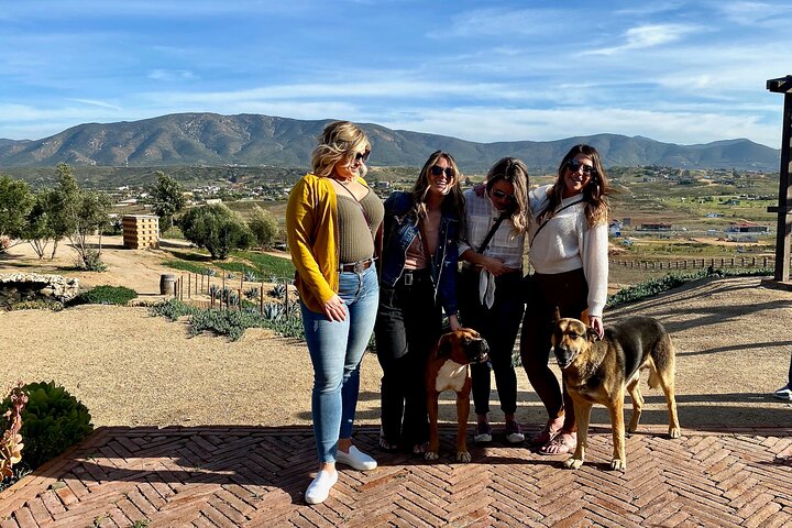Visite gastronomique et œnologique premium de la vallée de Guadalupe