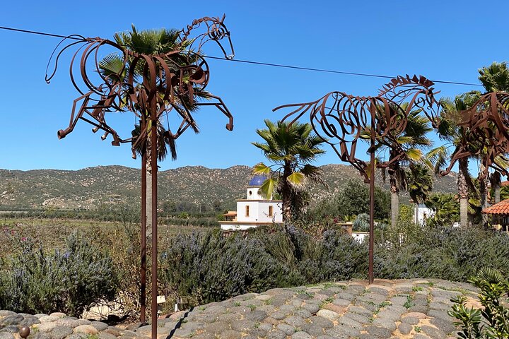 Visite gastronomique et œnologique premium de la vallée de Guadalupe