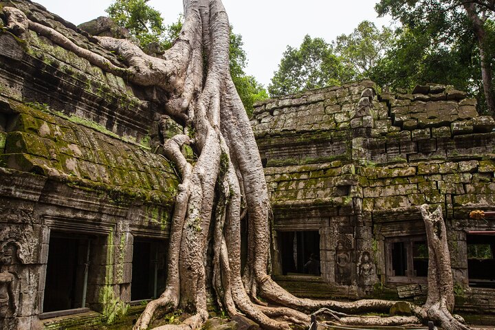 Private Temples Guided Tour (Angkor Wat, Ta Prom & Angkor Thom)