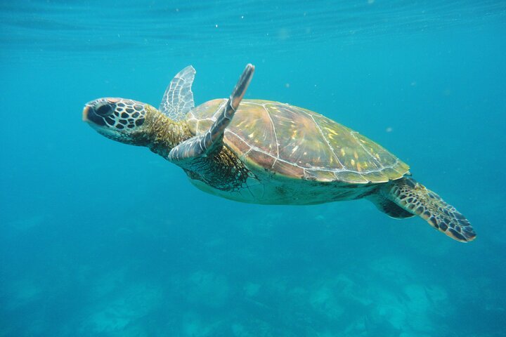 Dagstur til Santa Fe Island og Hidden Beach med snorkling og fiskeri