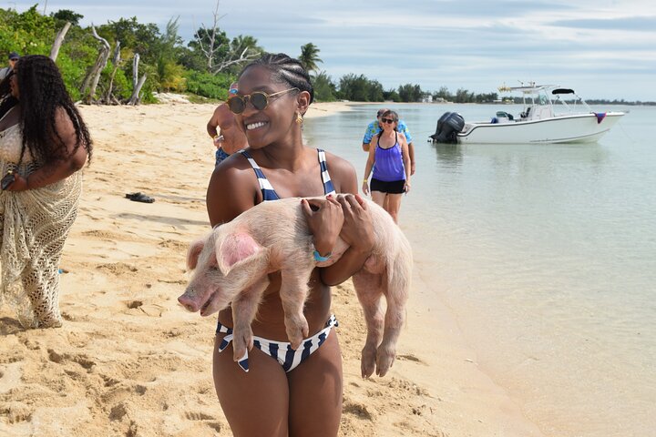 Zwemmen met varkens in Nassau, inclusief vervoer