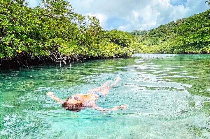Caribbean Catamaran Day Cruise: Strande, snorkling og frokost