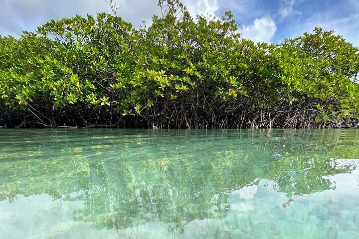 Caribbean Catamaran Day Cruise: Strande, snorkling og frokost