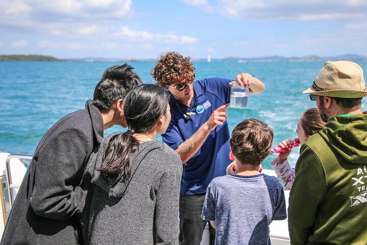Auckland Eco-safaricruise met dolfijnen en walvissen spotten