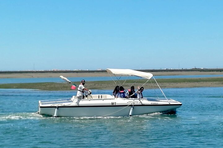 Eco Boat Tour i Ria Formosa Lagoon från Faro