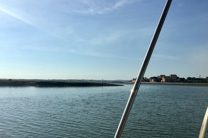 Eco Boat Tour i Ria Formosa Lagoon från Faro