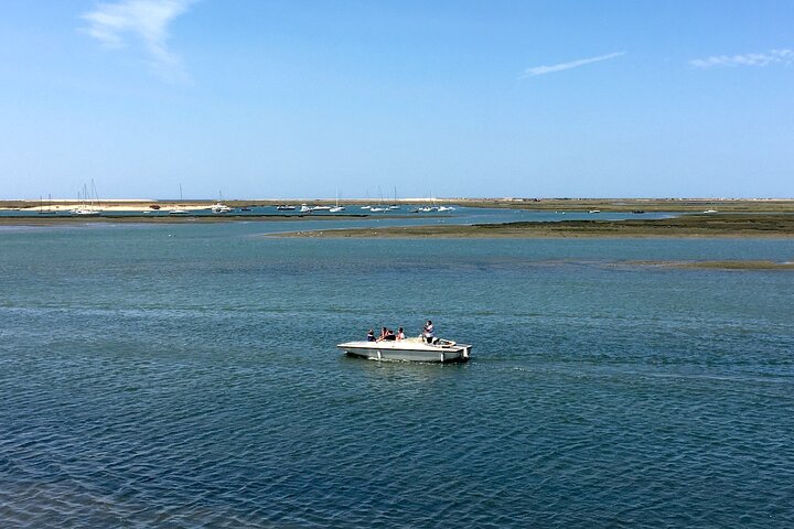 Eco Boat Tour i Ria Formosa Lagoon från Faro