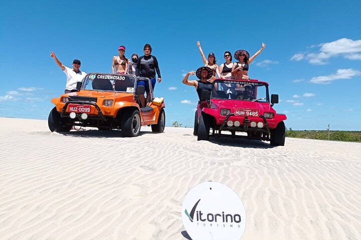 Visitez 3 plages en 1 jour (Morro Branco, Praia das Fontes et Canoa Quebrada)
