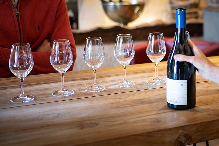 Lille Halvdag Languedoc Pic Saint-Loup Vin Tour fra Montpellier