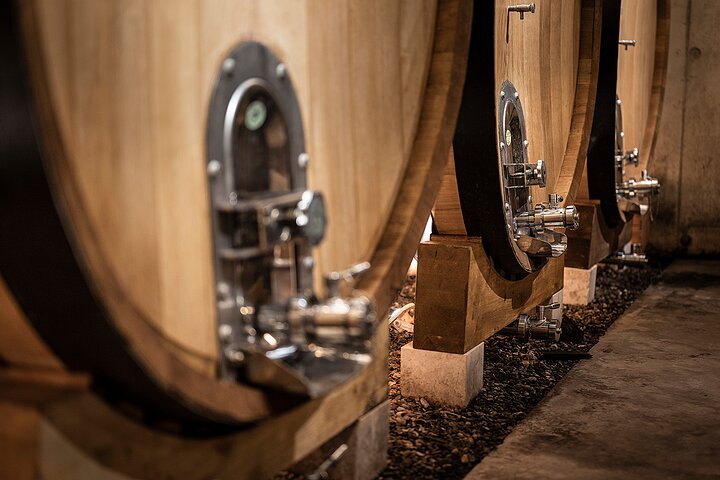Lille Halvdag Languedoc Pic Saint-Loup Vin Tour fra Montpellier