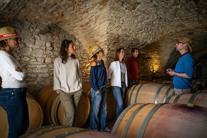 Lille Halvdag Languedoc Pic Saint-Loup Vin Tour fra Montpellier