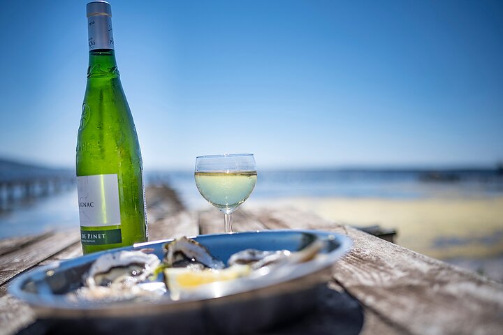 Excursão de meio dia a vinícola e oliveiras para grupos pequenos saindo de Montpellier