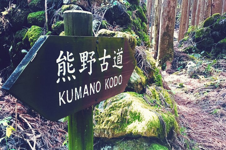 Kumano Kodo Pilgerfahrt in 1 Tag mit lizenziertem Fortgeschrittener