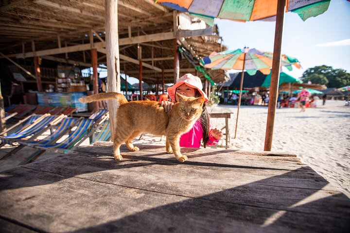Tour di Phi Phi, Maya Bay e Khai Islands di Seastar Andaman da Khao Lak