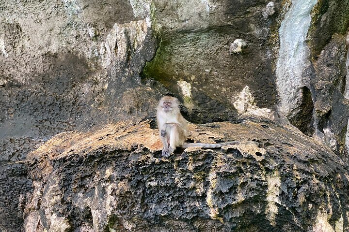 Tour di Phi Phi, Maya Bay e Khai Islands di Seastar Andaman da Khao Lak