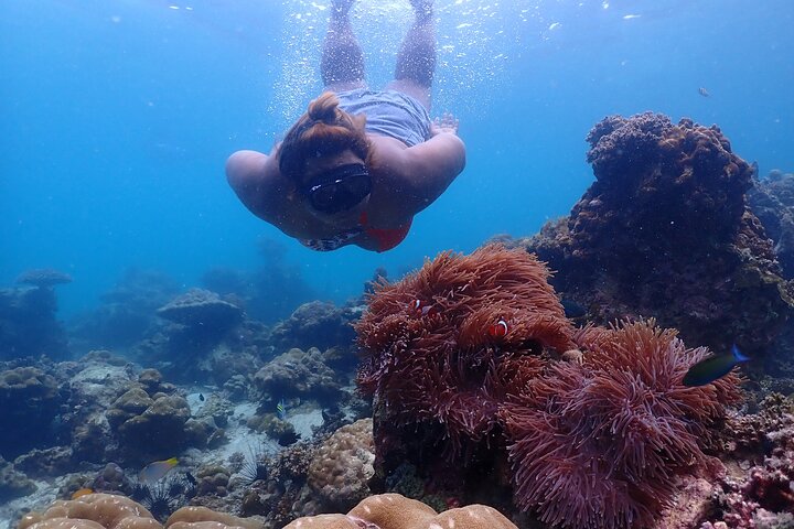Tour di Phi Phi, Maya Bay e Khai Islands di Seastar Andaman da Khao Lak