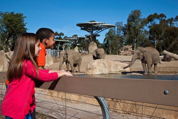 San Diego Zoo 1 - Pase de un día : Cualquier billete de un día