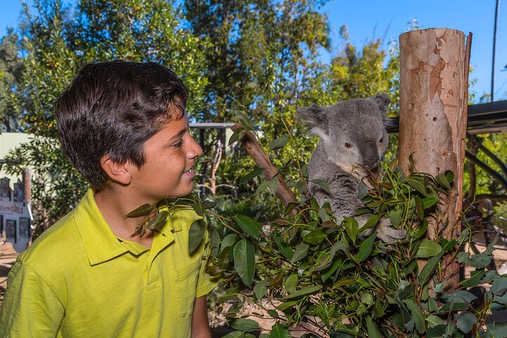 San Diego Zoo 1 - Pase de un día : Cualquier billete de un día