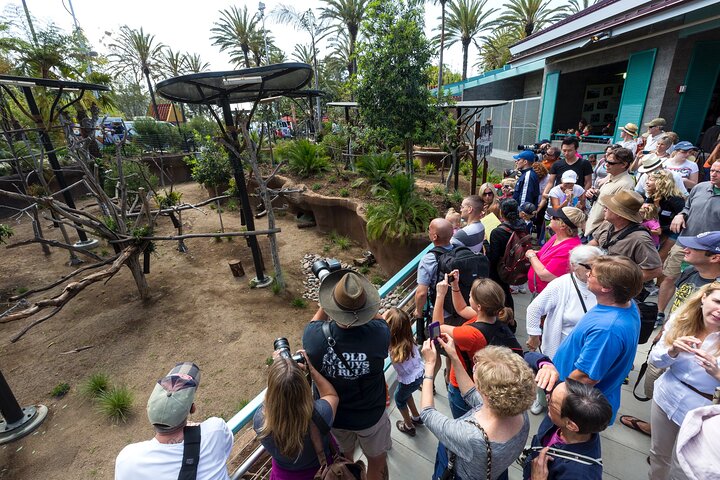 San Diego Zoo 1 - Pase de un día : Cualquier billete de un día