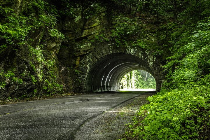 Zelfgeleide autorit door Great Smoky Mountains National Park