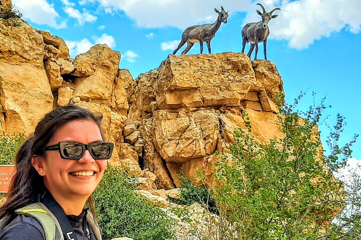 Tour guidato privato di mezza giornata del Grand Canyon