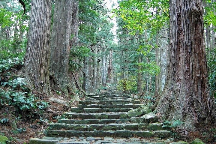 Excursión de medio día a Daimonzaka y Nachi Taisha en Kumano Kodo