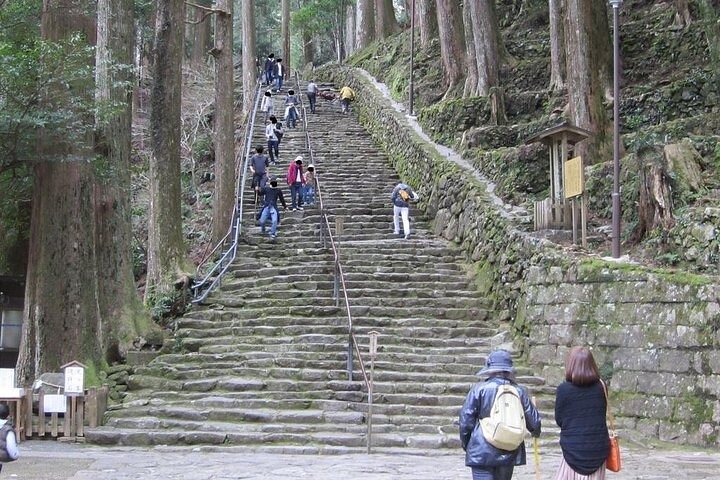 Excursión de medio día a Daimonzaka y Nachi Taisha en Kumano Kodo