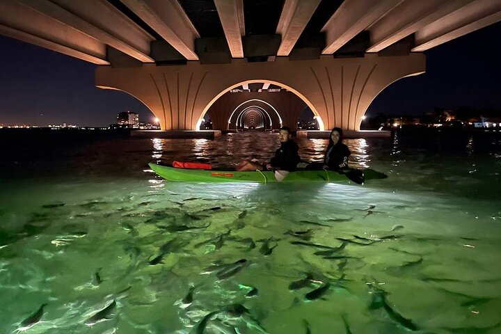 Sharkeys fisk med glasbotten matar LED Night Tour St. Pete Beach