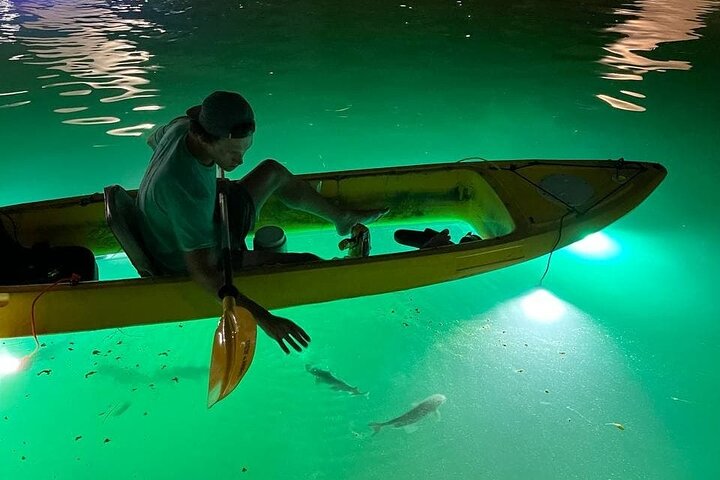 Sharkeys fisk med glasbotten matar LED Night Tour St. Pete Beach