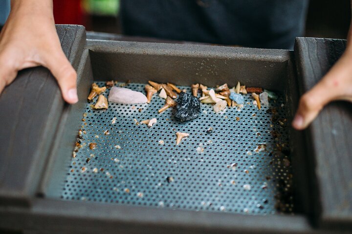Florida: Fahrt durch die Everglades im Sumpfboot und Begegnung mit wild lebenden Tieren