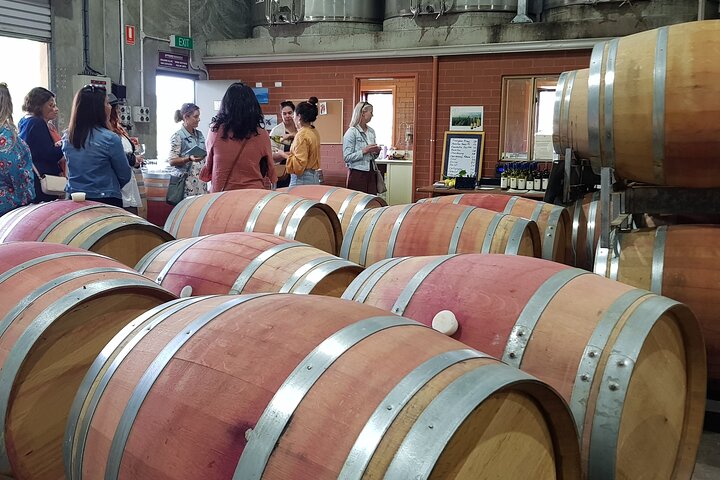 Margaret River Vino curado para grupos pequeños, café, almuerzo y bosque