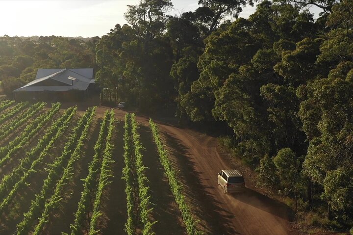 Margaret River Vino curado para grupos pequeños, café, almuerzo y bosque