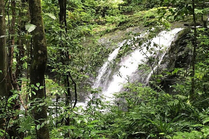 Manuel Antonio National Park : Guidad tur med biljett ingår